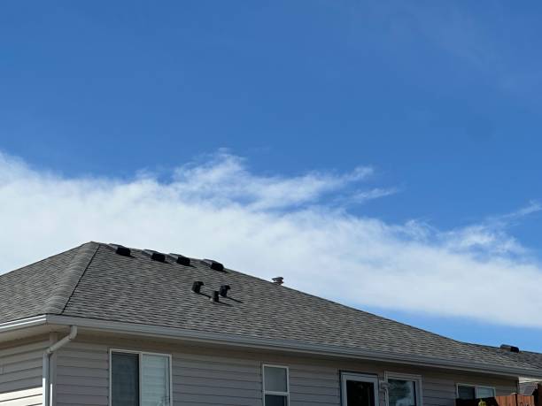 Best Sheet Metal Roofing  in Norwood, NC